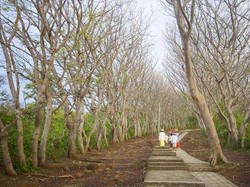 Legenda Cinta Tragis Makam Jayaprana, Bali