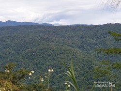 Lembah Kebar: Keindahan Alam Tersembunyi di Papua Barat