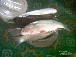 Lempah Kuning, Kuliner Pedas ala Bangka