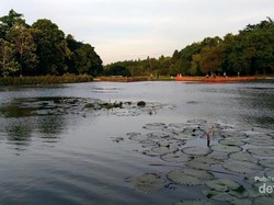 Lepas Penat Sejenak di Lingkungan LIPI Cibinong