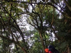 Libur Akhir Tahun ke Purwakarta, Yuk Daki Gunung Bongkok