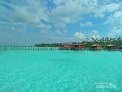 Libur Lebaran, Cari yang Segar-segar ke Maratua Island