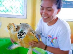 Libur Lebaran di Jakarta: Main Bareng Penyu di Kepulauan Seribu