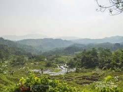 Libur Lebaran ke Sentul, Ada Air Terjun yang Cantik Lho!