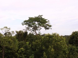 Libur Panjang di Singapura, Saatnya Narsis dan Belanja