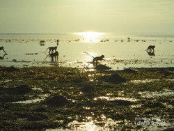 Libur Panjang, Saatnya Bertualang ke Afrika di Jawa Timur