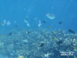Libur Panjang yang Tenang di Pulau Bira