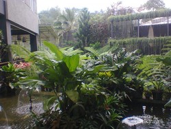 Libur Weekend ke Puncak, Mampir Minum Susu ke Cimory