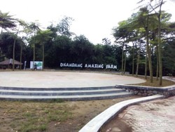 Liburan Bareng Anak, Ajak Bertani dan Berternak Saja!