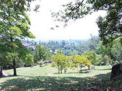 Liburan Hijau dan Segar di Kebun Raya Cibodas