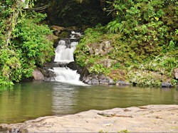 Liburan ke Bandung, Wajib Coba Kemping di Gunung Putri
