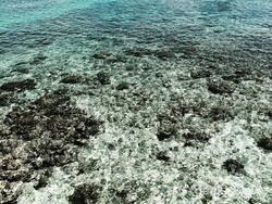 Liburan ke Derawan, Tak Terlupakan!