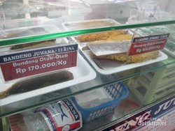 Liburan ke Semarang, Pulangnya Bawa Bandeng