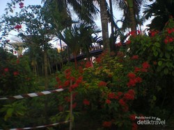 Liburan ke Singapura, Coba Naik Kereta Gantung