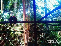 Liburan Sambil Belajar di Kebun Binatang Bandung