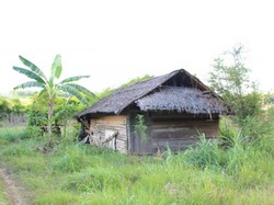 Liburan yang Beda di Aceh, Bertemu Peracik Obat Tradisional