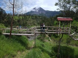 Lihat Cantiknya Merapi dari Kali Talang