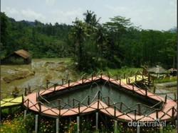 Long Weekend Asyik di Gunung Kirampog