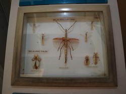 Long Weekend dengan Keluarga: Main Sama Serangga di Taman Mini