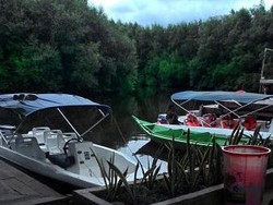 Long Weekend di Jakarta, Yuk Bertualang ke Hutan Mangrove