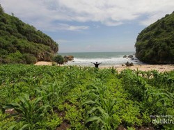 Long Weekend ke Gunungkidul, Datangi Pantai Perawan Ini