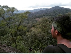 Long Weekend? Mendaki Gunung Munara Saja!