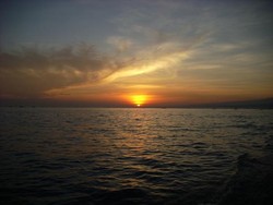 Lumba-lumba Narsis di Pantai Lovina