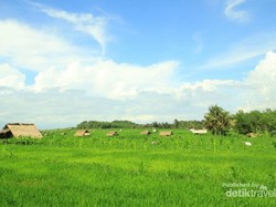 Lupakan Klayar, Ini Pantai Buyutan di Pacitan