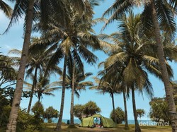 Madasari, Pantai Buat Kemping Seru di Pangandaran
