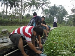 Magelang Ternyata Punya Air Terjun & Pemandian Air Hangat