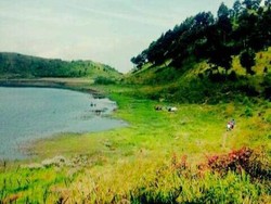Main ke Dieng, Wajib Mampir ke Telaga Dringo