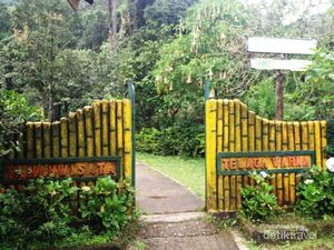 Main ke Puncak, Resapi Indahnya Telaga Warna