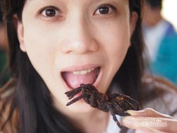 Makan Laba - Laba Raksasa