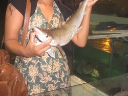 Makan Malam Romantis Sekaligus Deg-degan di Jimbaran