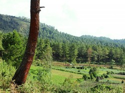 Malino, Puncak Bogor Ala Sulawesi Selatan