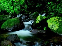 Mandi di Curug Cilember Bogor, Konon Bisa Bikin Awet Muda