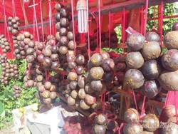 Manggis, Buah Tangan Manis dari Pidie Jaya Aceh