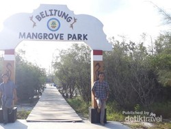 Mangrove Park di Negeri Laskar Pelangi