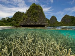 Masyarakat Adat Papua Minta Semua Orang Sayangi Raja Ampat