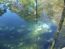 Mata Air Awet Muda Jack Sparrow, Sungguhan Ada!