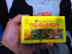 Mau Berenang Bareng Penyu Raksasa, Ini Lokasinya