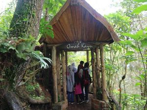 Mau Lihat Kota Batu dari Ketinggian, Datanglah ke Omah Kayu