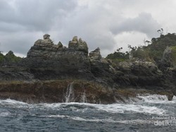 Mau Lihat Lumba-lumba? Pantai Kiluan Tempatnya