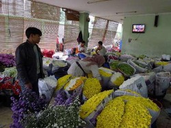 Mau Tahu Aslinya Jakarta, Datang ke 4 Kampung Betawi Ini!