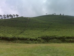 Melayang di Atas Hamparan Hijau Alam Jawa Tengah