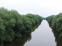Melepas Penat di Hutan Mangrove Jakarta