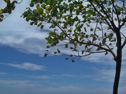 Melepas Penat di Pulau Dewata, Bali