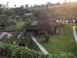 Melepas Penat Sejenak di Perkebunan Teh Subang