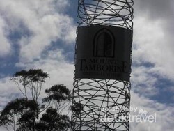 Melihat Cacing Bercahaya di Glow Worms Cave, Australia