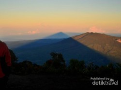 Melihat Keindahan Kota Garut Dari Puncak Cikuray